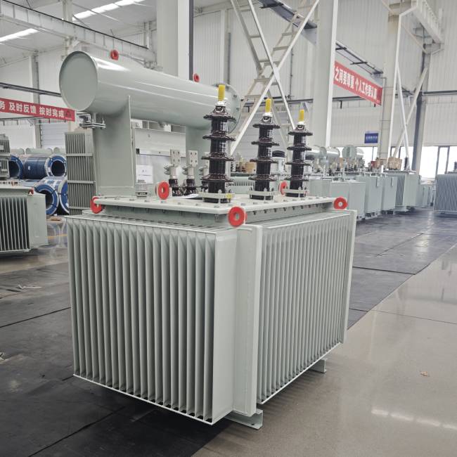 Oil immersed power transformer with conservator tank structure