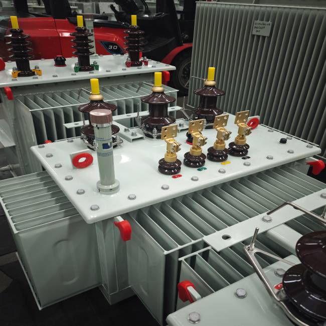 Low voltage connection terminal of oil immersed distribution transformer